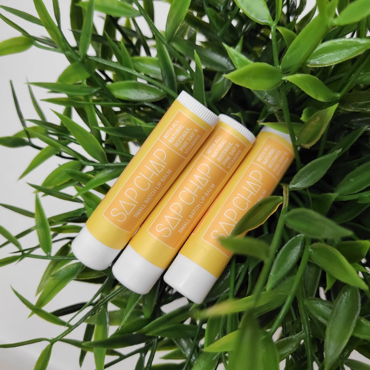 Lip Balm Trio Pack